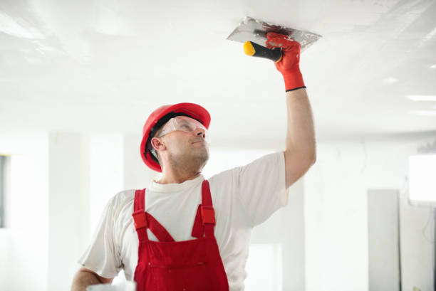 Best Water-Damaged Drywall Repair  in Rayville, LA